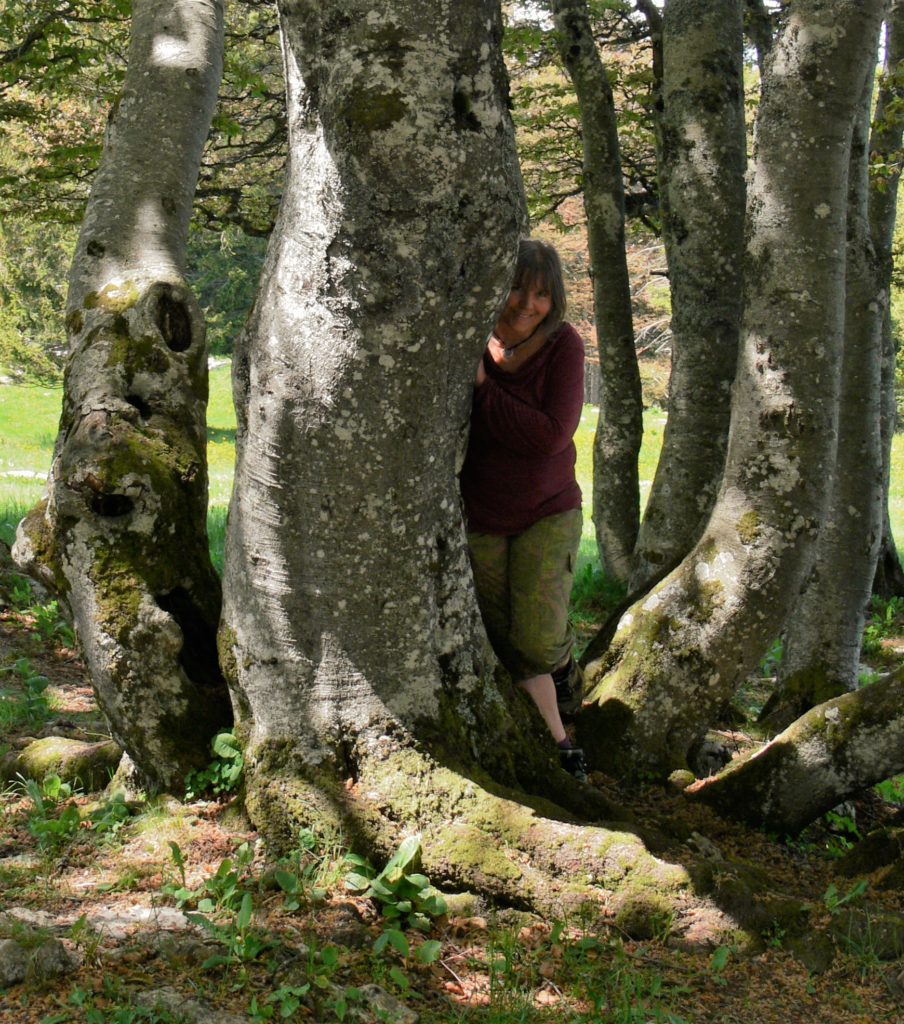 ATELIER NATURE